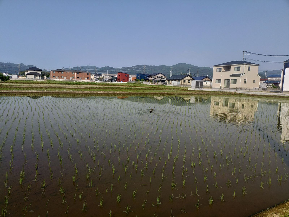 KIMG20250520_072318875