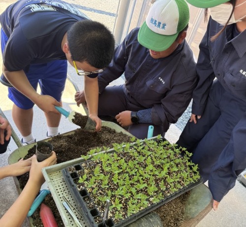 Image_20250724_131429_423