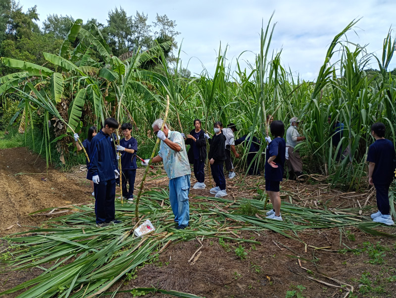 IMG_20251107_102935109_HDR