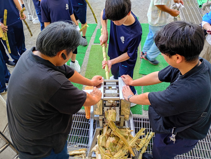 IMG_20251107_104225783_HDR