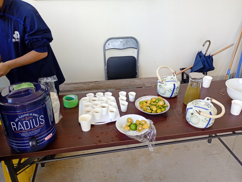 IMG_20251107_105718737_MFNR