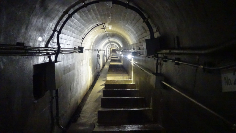 DSC00964のコピー