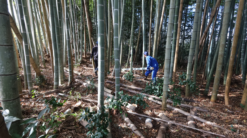 IMG_4340のコピー